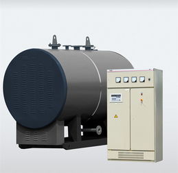 2噸電鍋爐產品特點和技術參數解讀