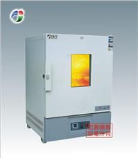 電熱鼓風(fēng)干燥箱廠家 wgs系列